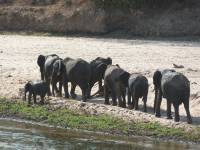 Safari Tansania - massimo REISEN
