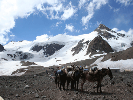 Argentinien Aconcagua Expedition - 6962 m und höchsten Berg Amerikas!