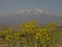 Besteigung Nemrut, S&uuml;phan und Ararat