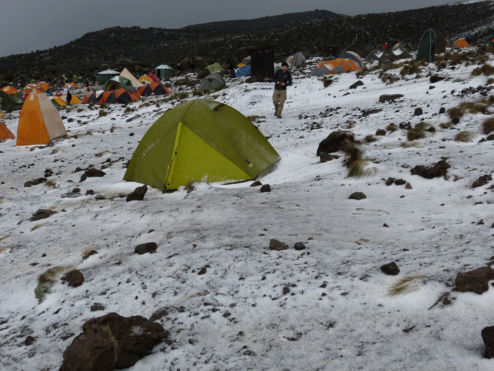 Kilimanjaro & Safari - massimo REISEN