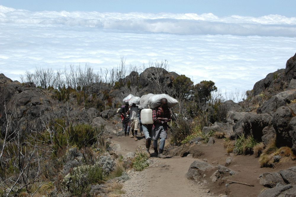 Kilimanjaro Besteigung - Trekking &uuml;ber den Wolken
