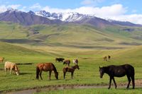 Kirgistan Erlebnisreise