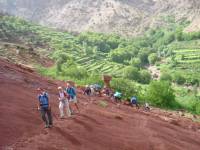 Marokko Mt. Toubkal Trekking
