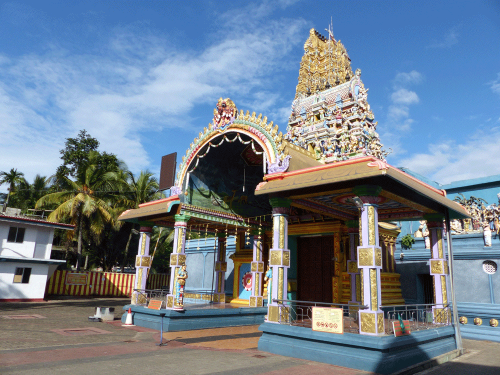 Sri Lanka Aktiv Tour
