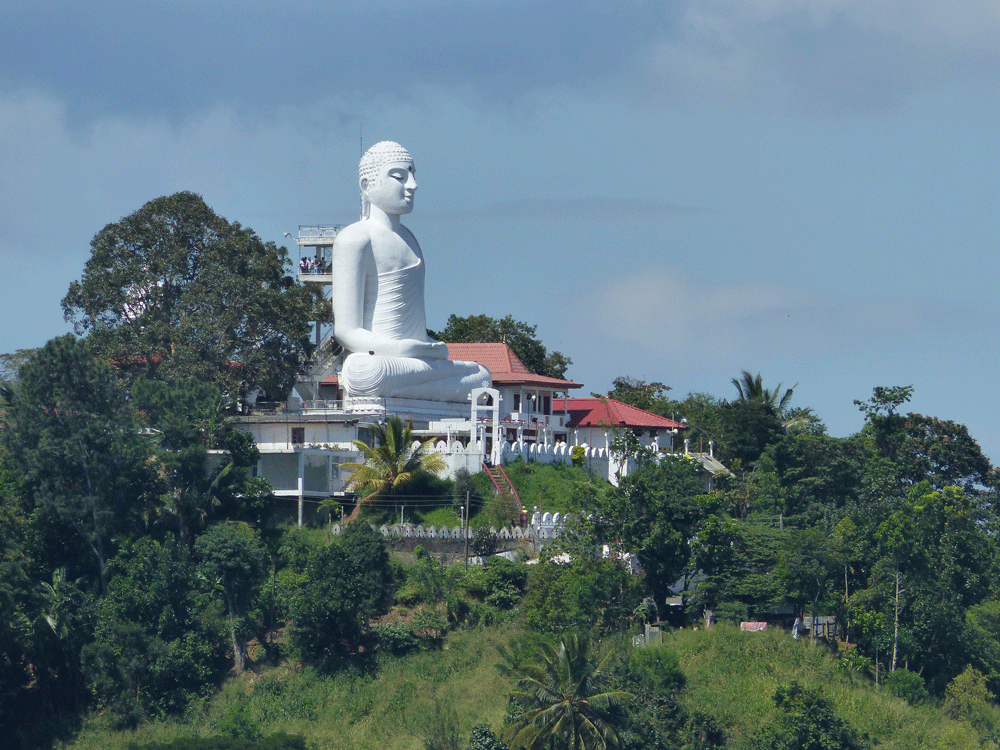 Buddhastatur Sri Lanka